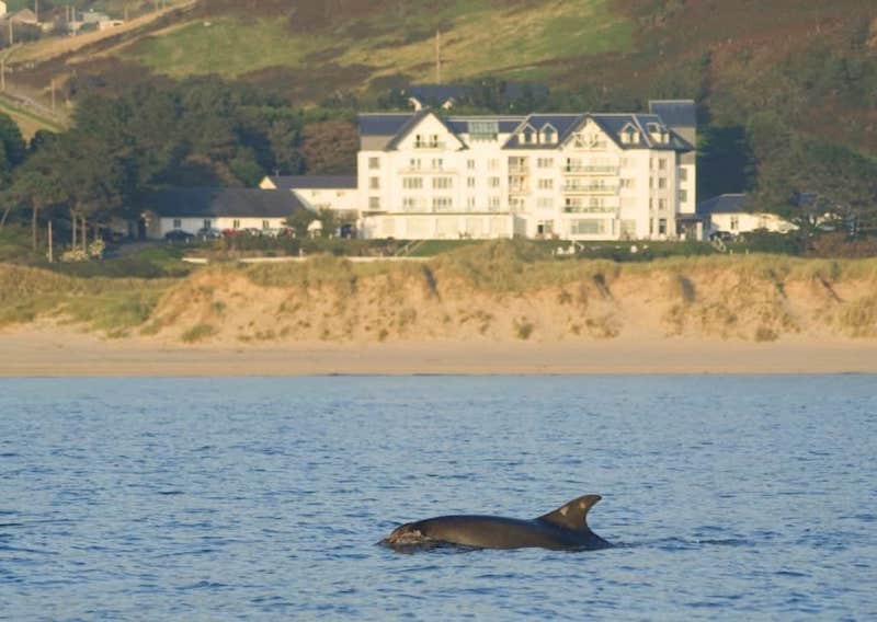 Best hotels in Wales