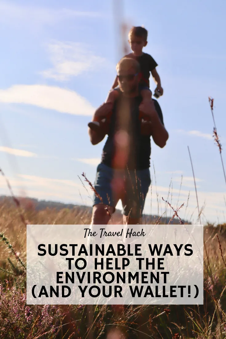 Sustainable ways to help the environment and your wallet