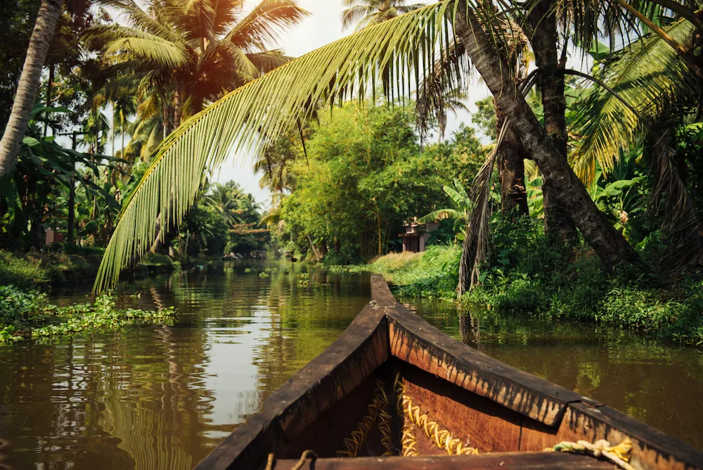 Traditional local boat on beautiful backwaters landscape with palm trees on background, Kerala, India
