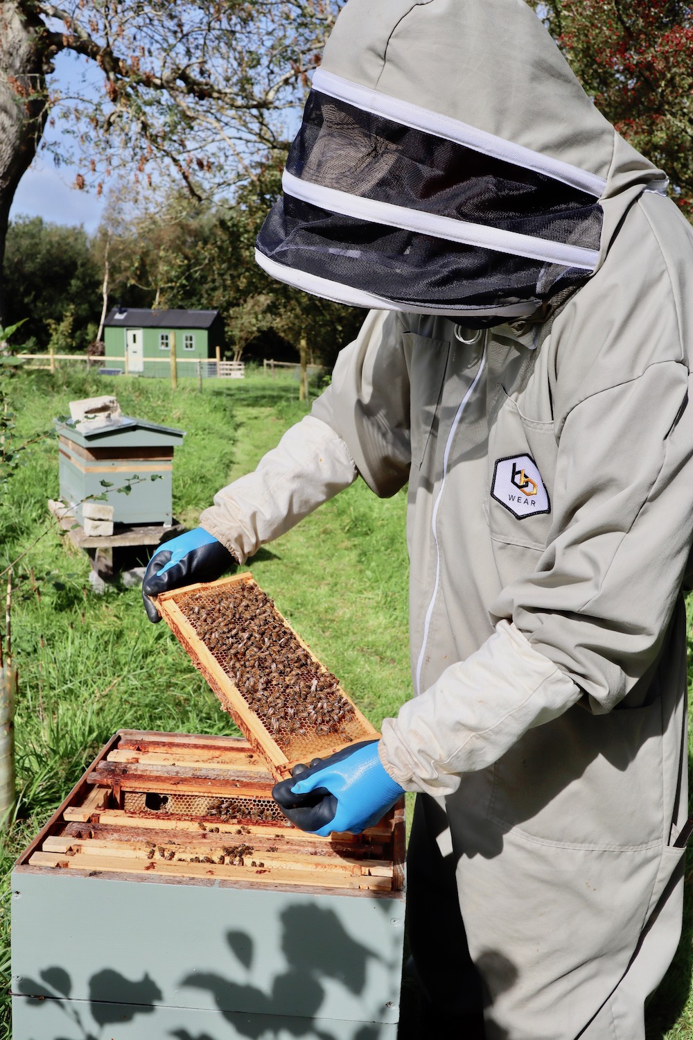 Beekeeping with Anglesey Bees