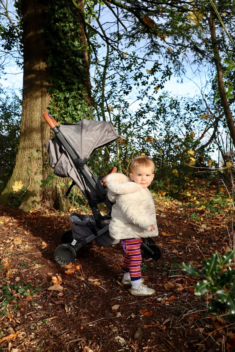 Micralite ProFold compact stroller review The best one handed