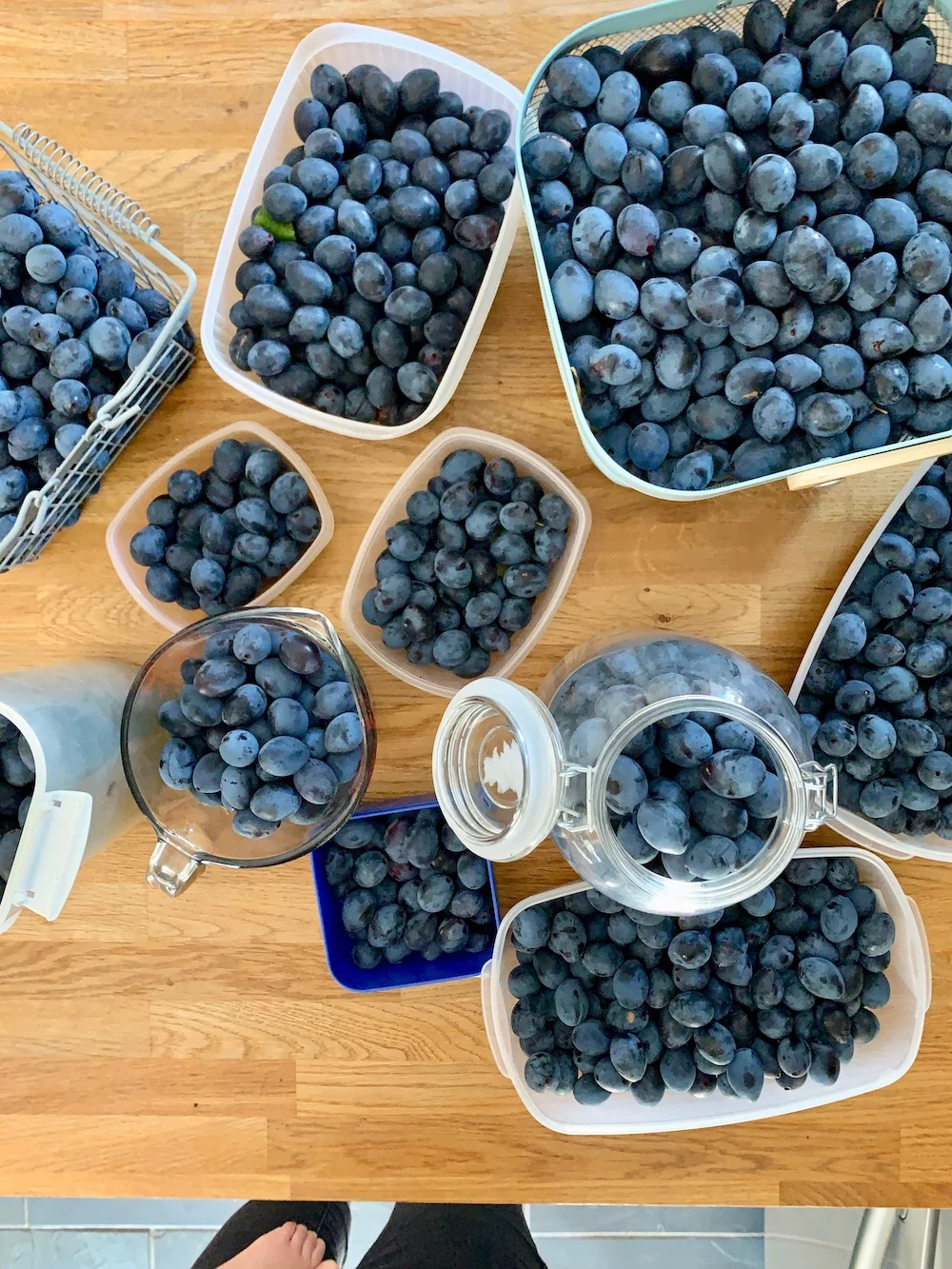 Making homemade damson gin