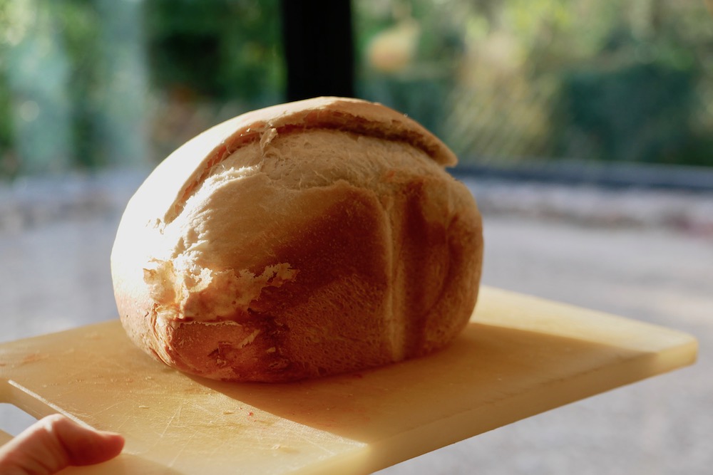 Panasonic Bread Maker Review: Is a bread maker worth it?
