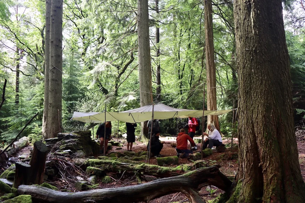 Forest Camp in Beddgelert