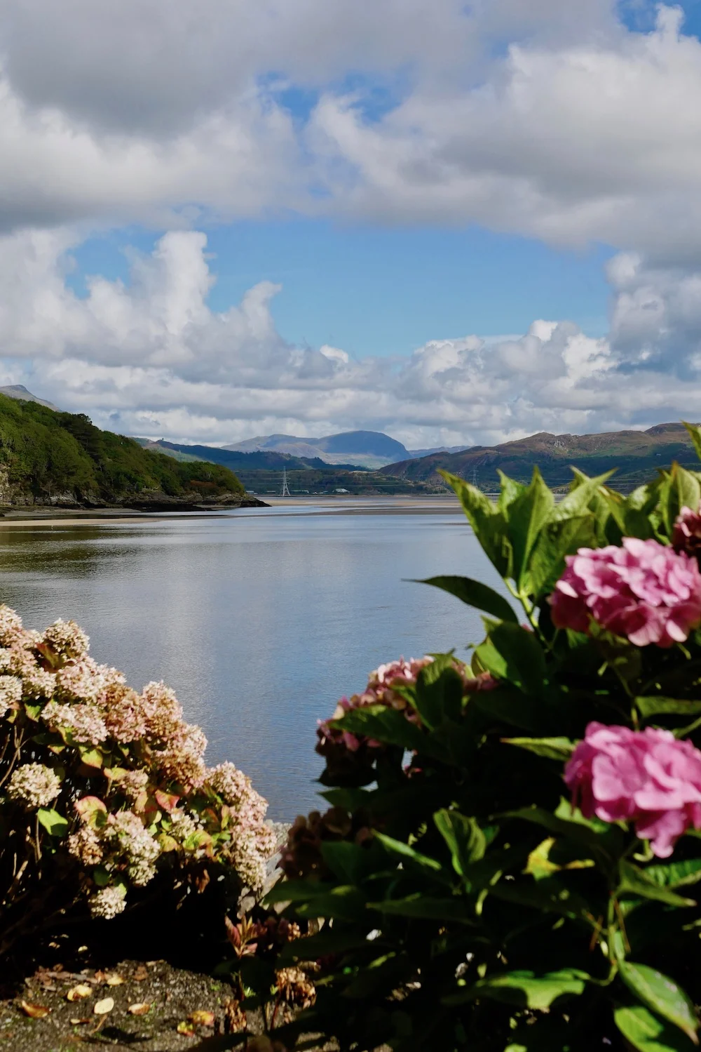 Views from Portmeirion