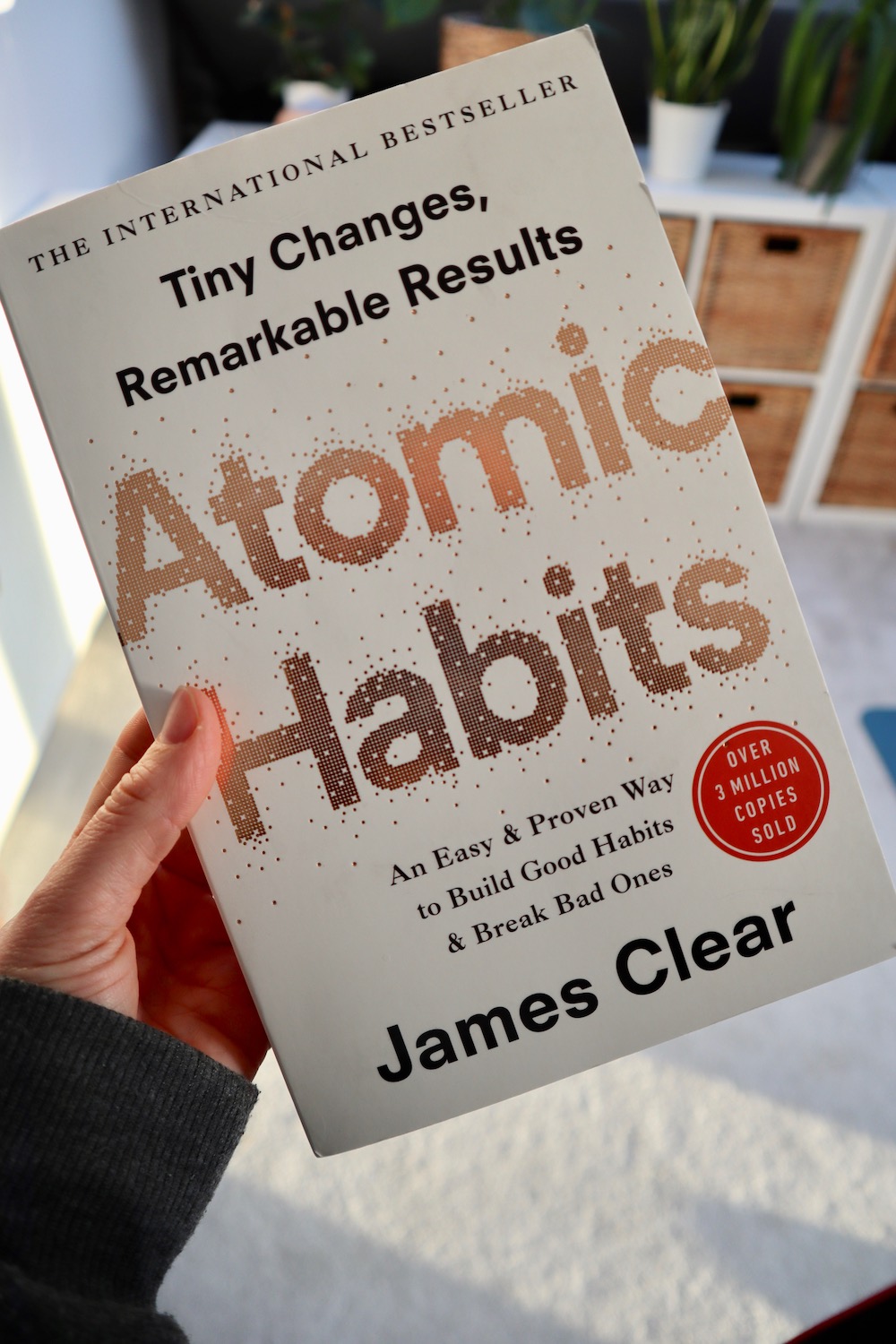 summary of atomic habits book