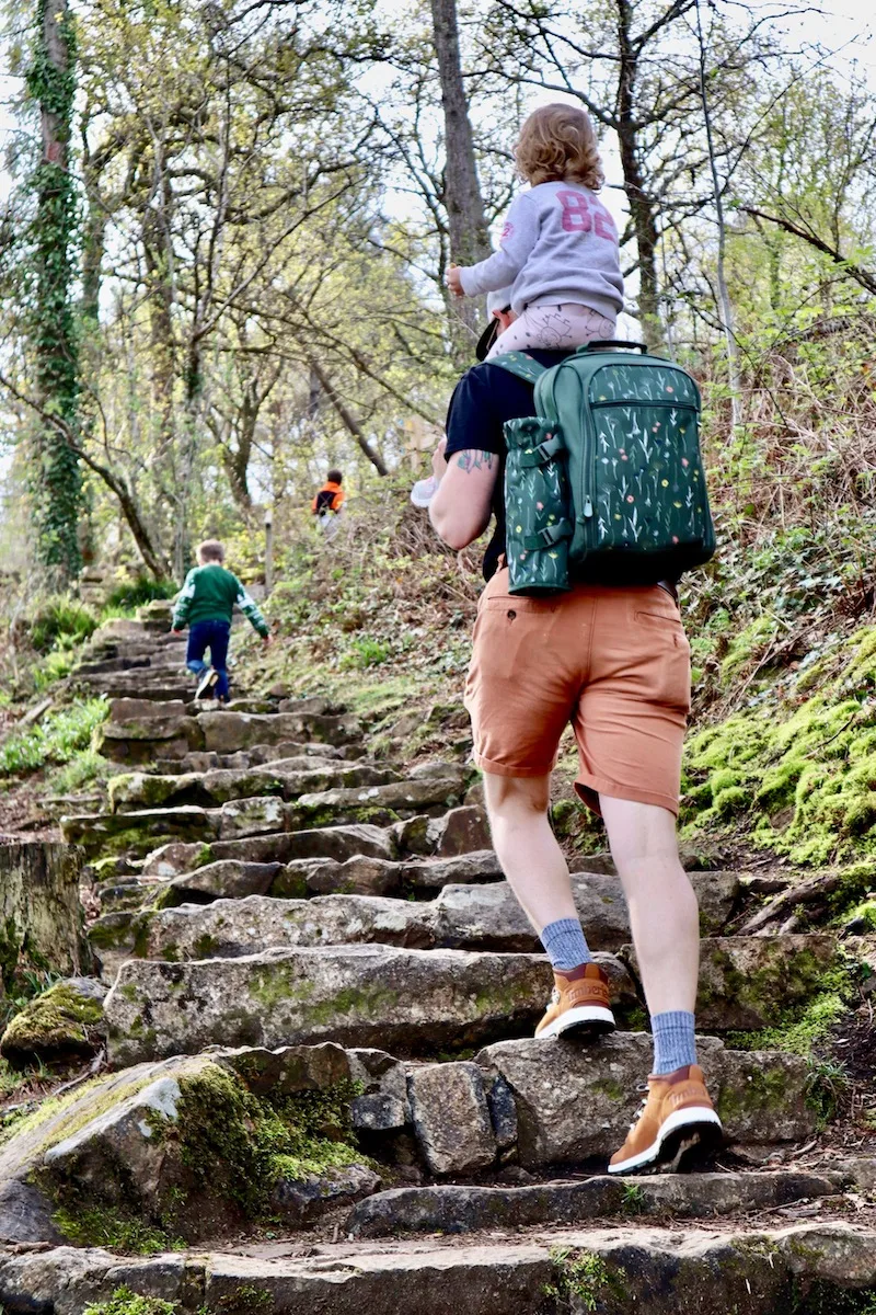 Best Picnic Backpack Sets: 2023 Comparison Guide