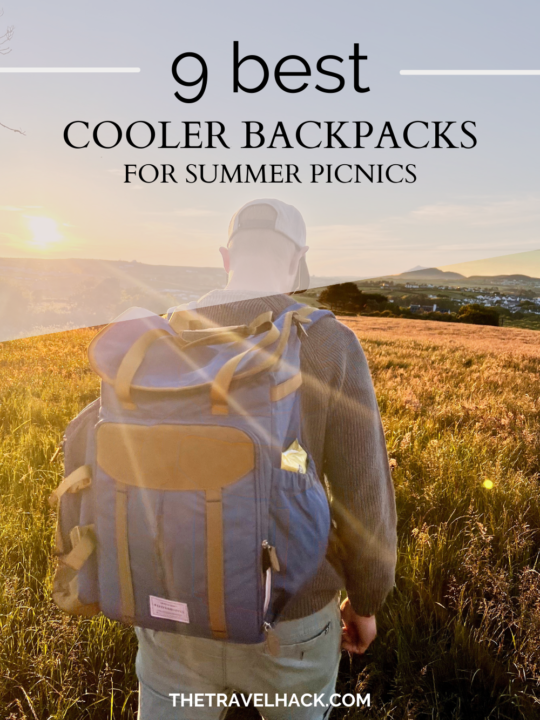 Cooler backpacks and cool bags for a perfect summer picnic