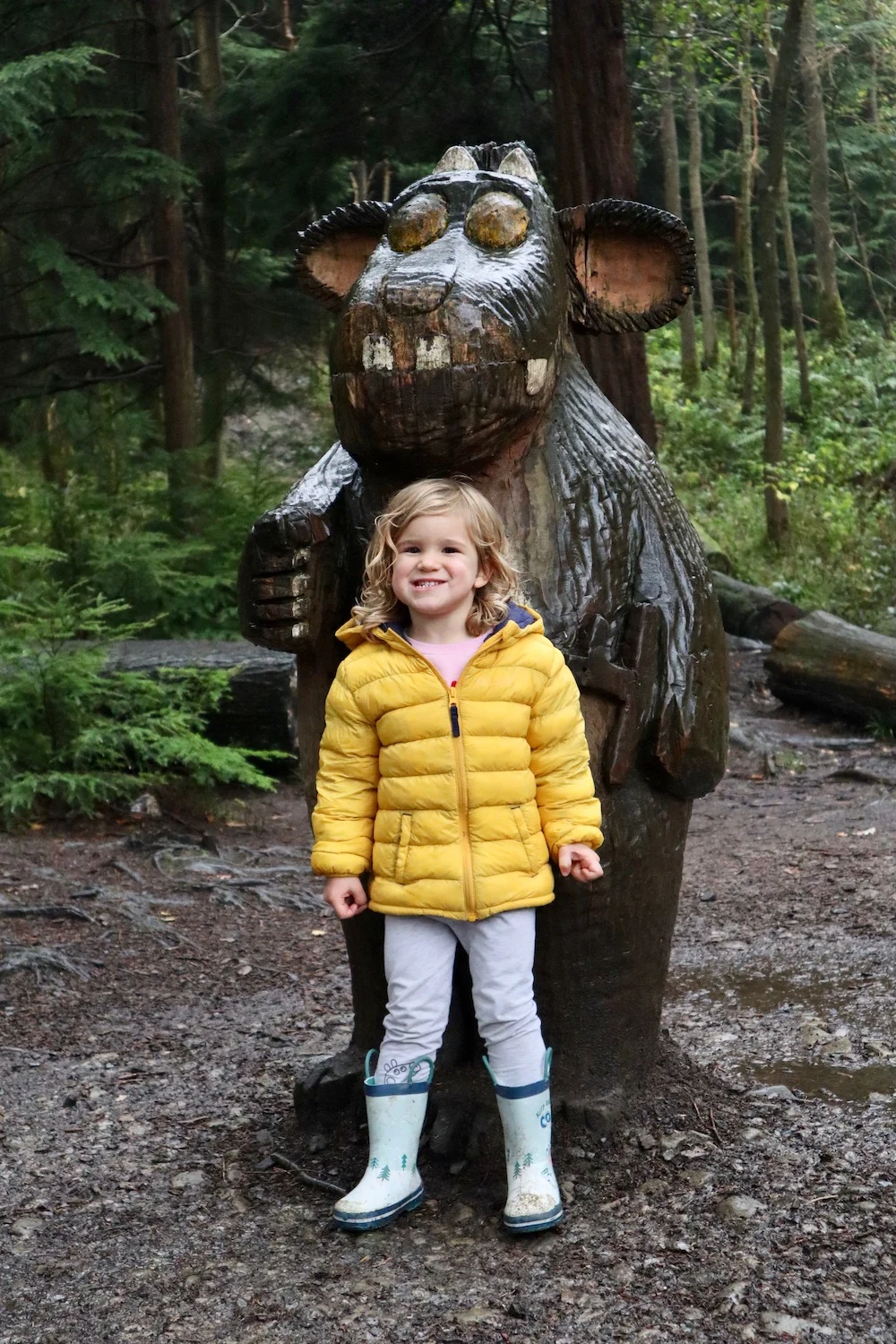 Hamsterley Forest