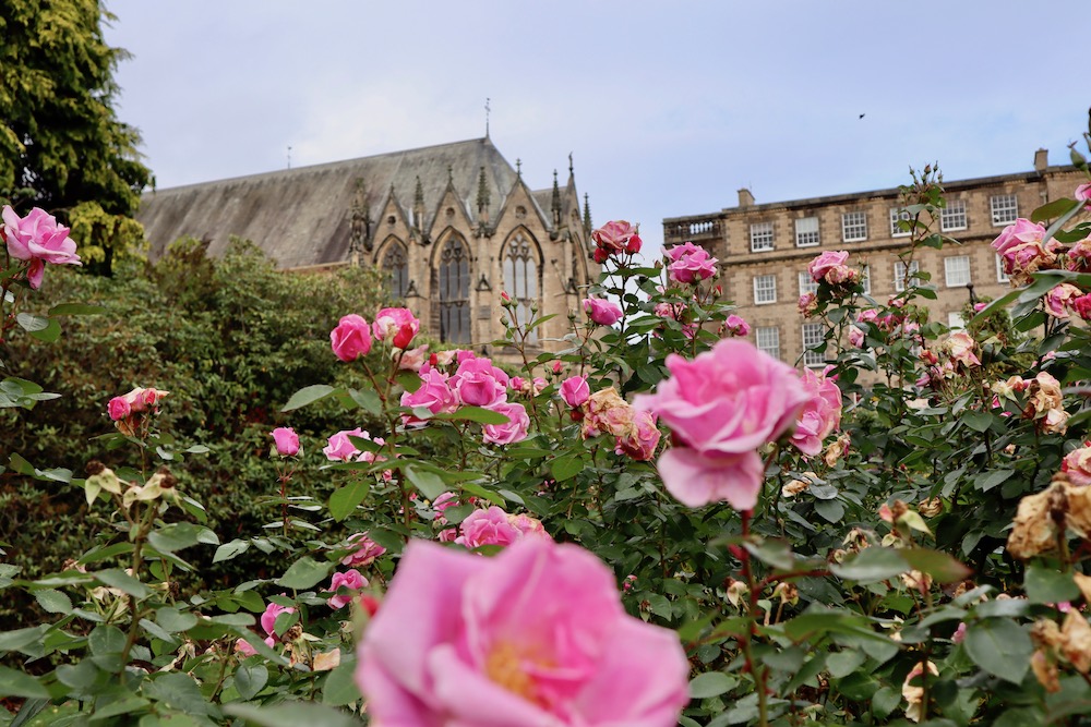 Ushaw Historic House Chapels and Gardens