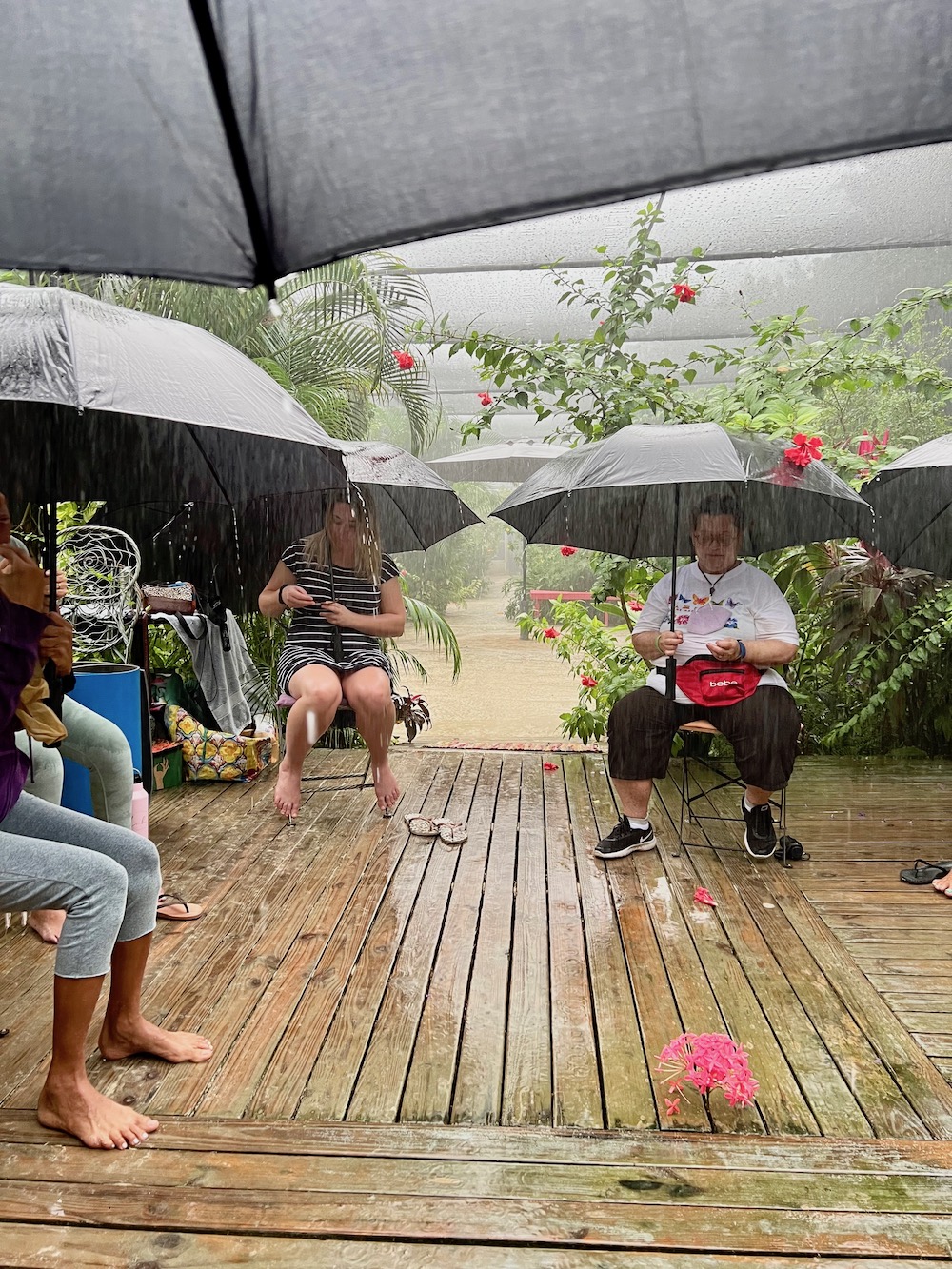 Butterfly farm meditation session in Aruba