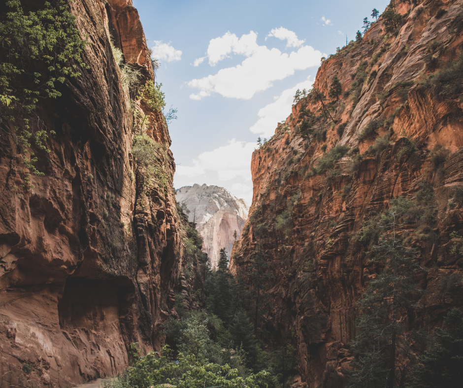 Hike through Masca Valley Gorge - things to do in Tenerife