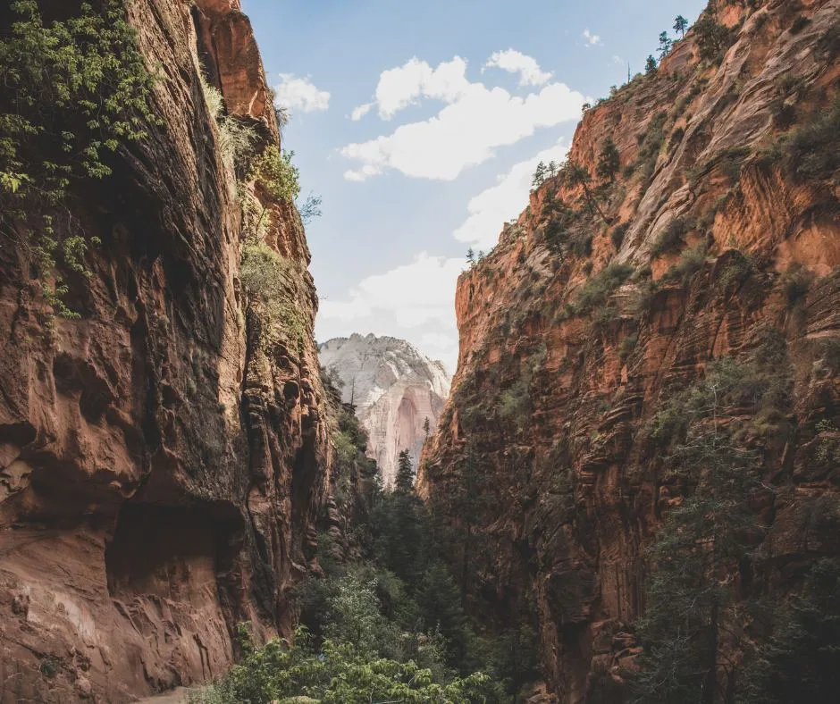 Hike through Masca Valley Gorge - things to do in Tenerife