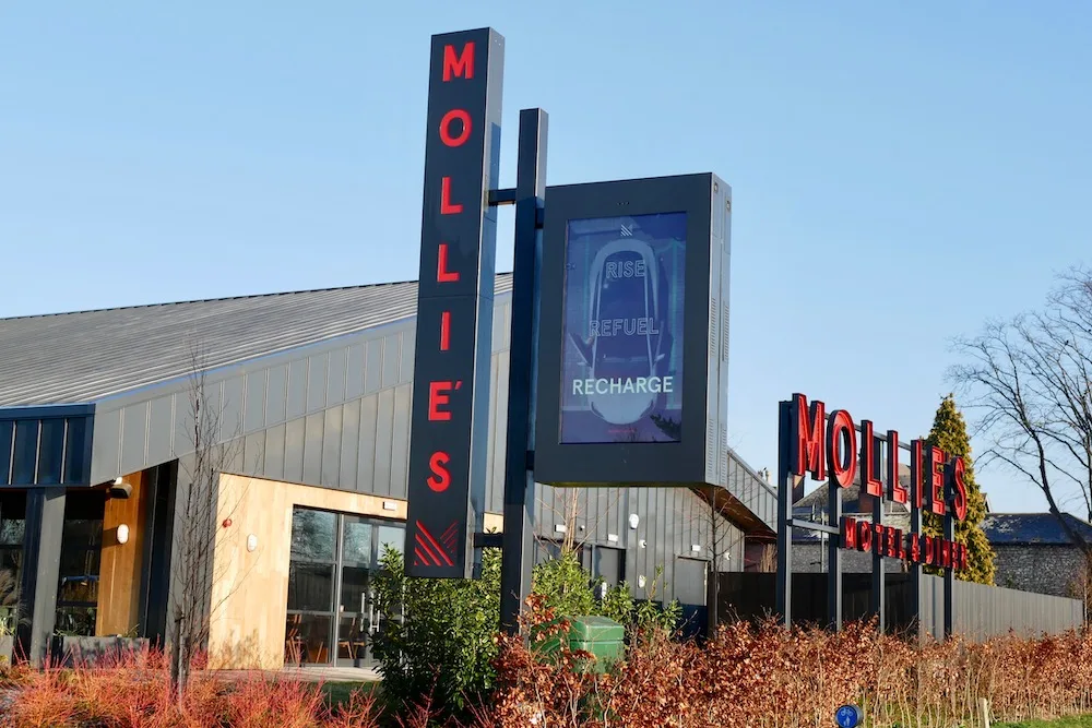 Mollie's Motel Review 