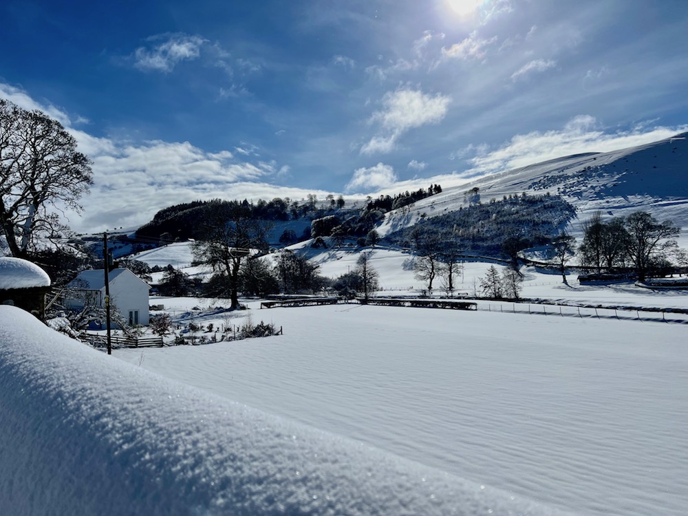 La critique de La Main à Llanarmon