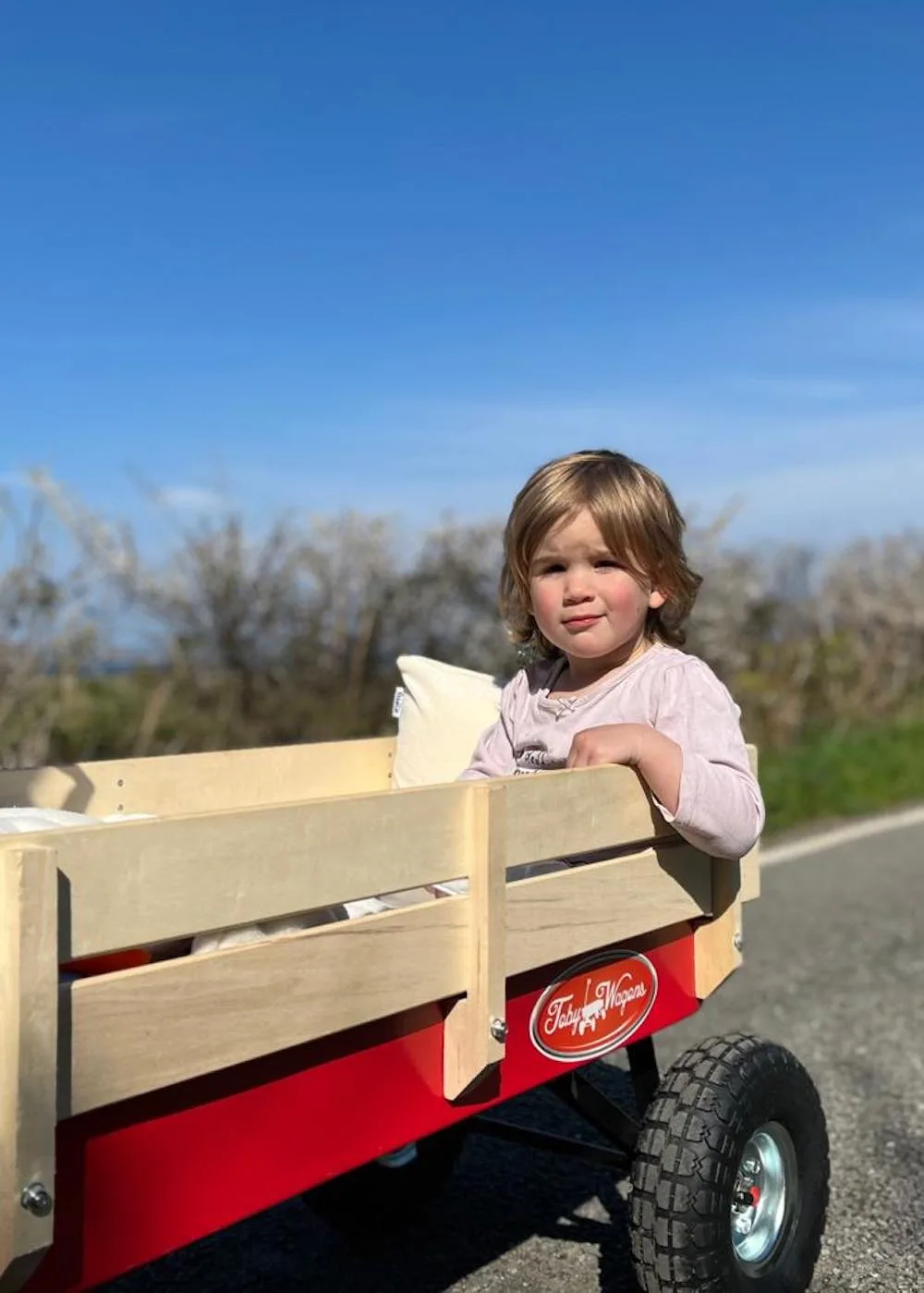 Beach Cart Essentials