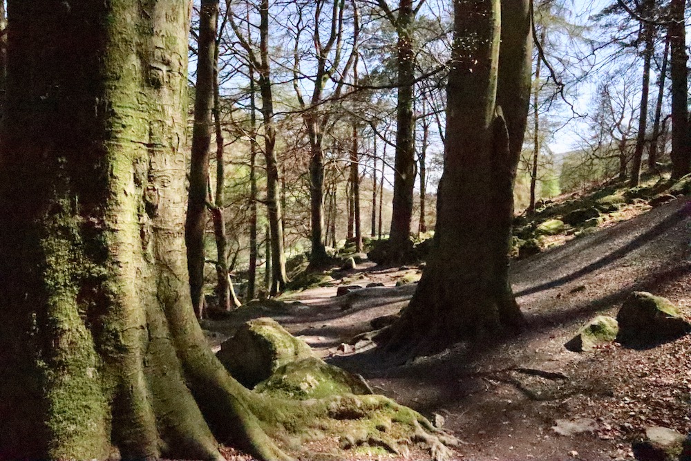 pistyll rhaeadr waterfall walk