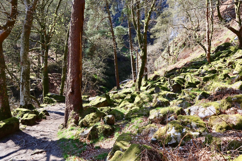 pistyll rhaeadr waterfall walk