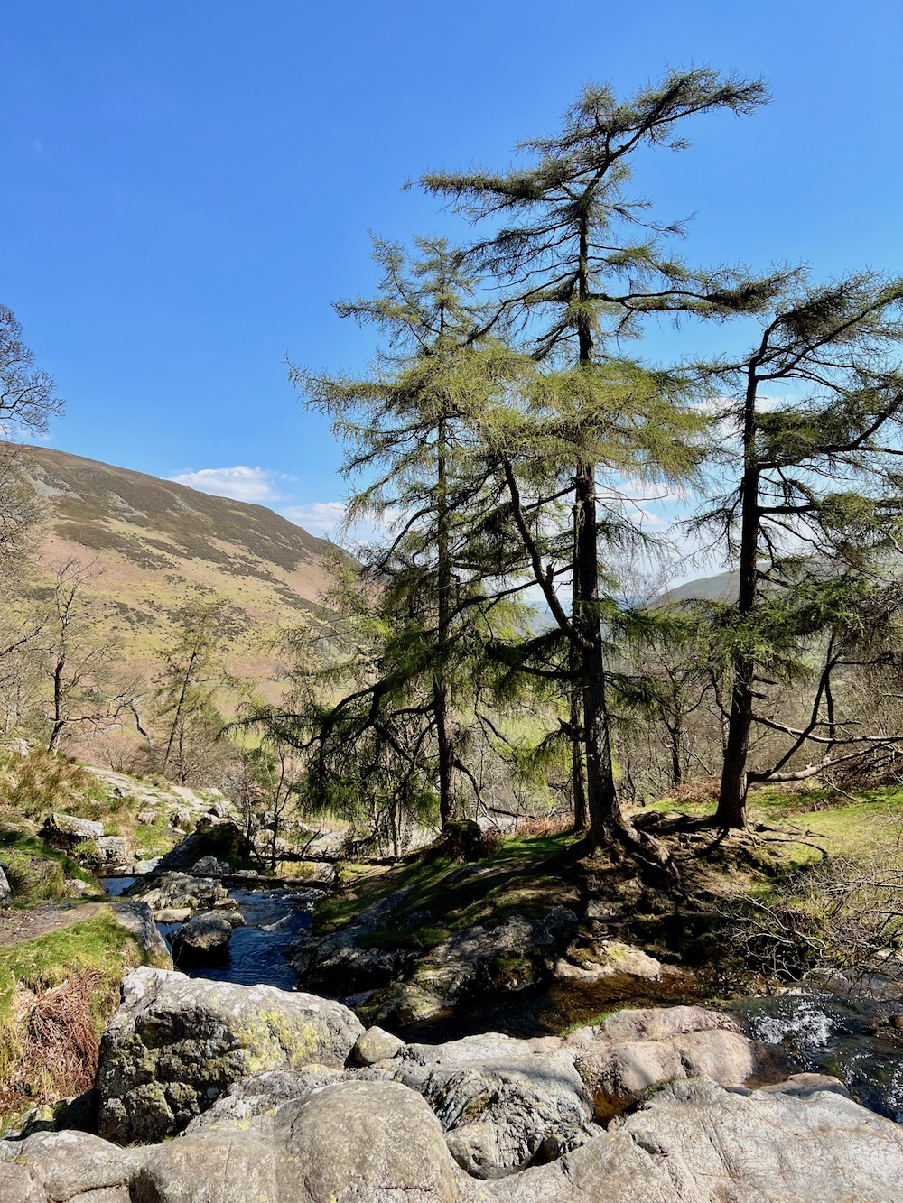 pistyll rhaeadr waterfall walk