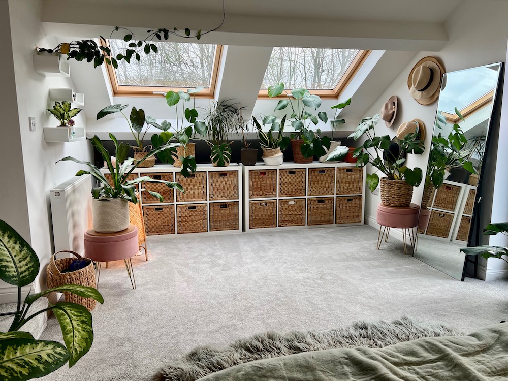 Plant bedroom