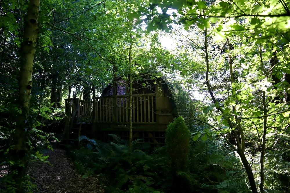 Celtic Woodland Glamping in Powys, mid Wales