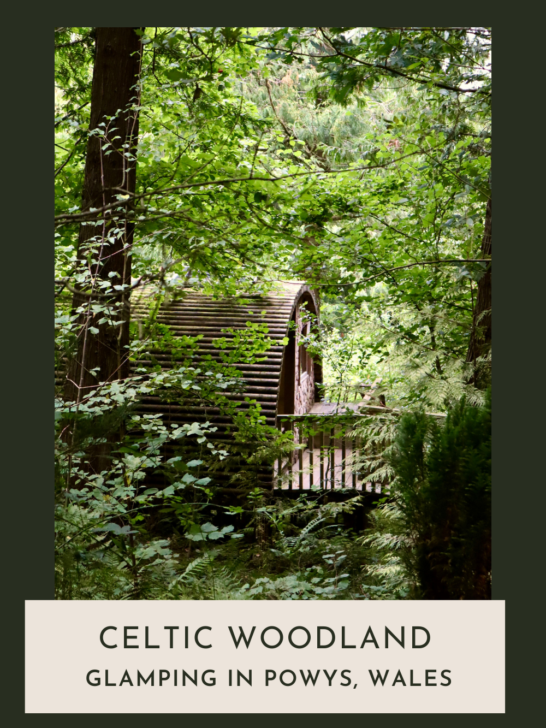 Celtic Woodland Glamping in Powys, mid Wales