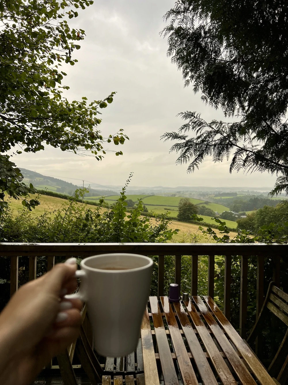 Celtic Woodland Glamping in Powys, mid Wales