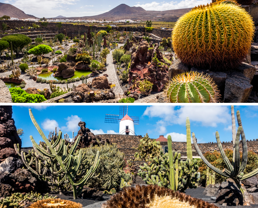 12 things to do in Lanzarote