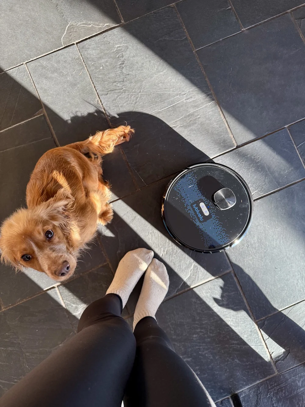 Robot vacuum review