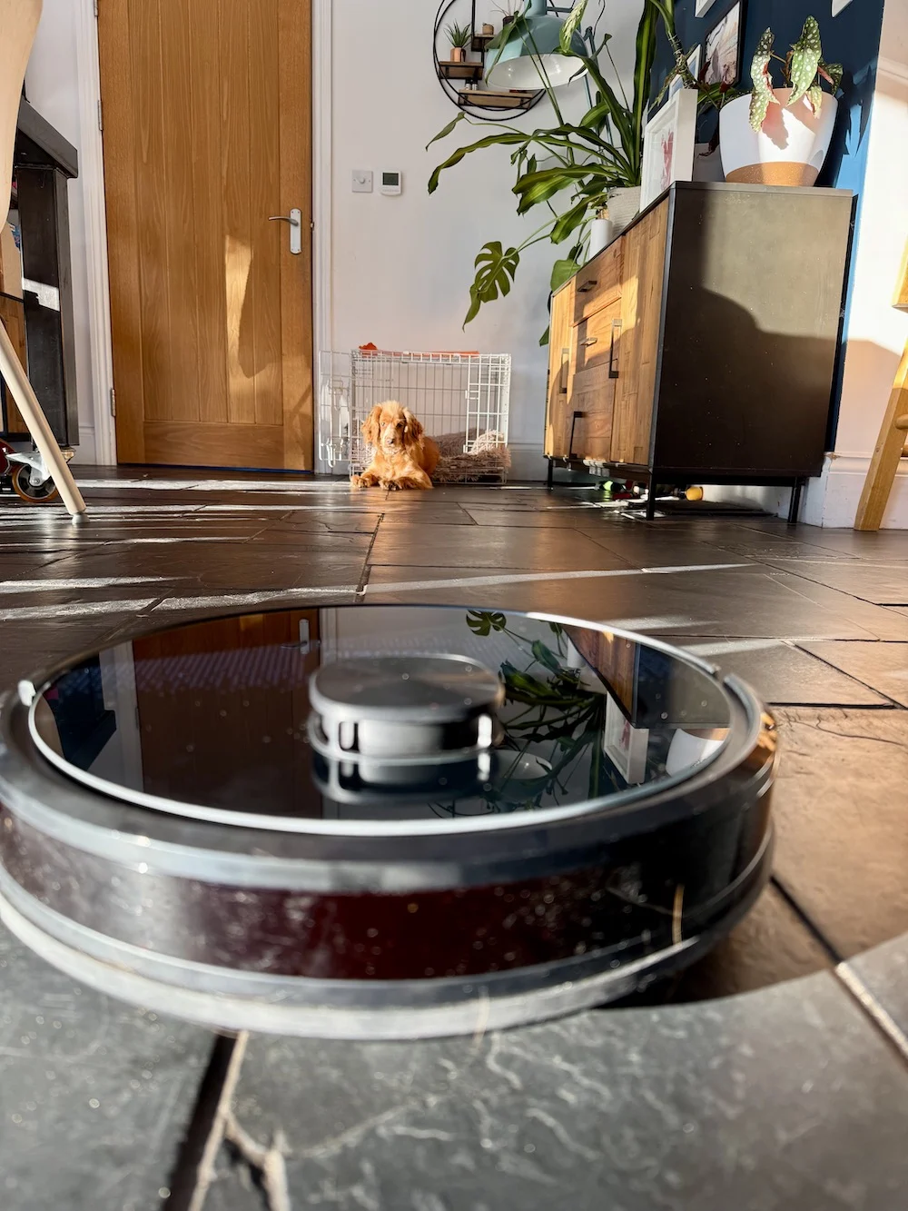 Robot vacuum review