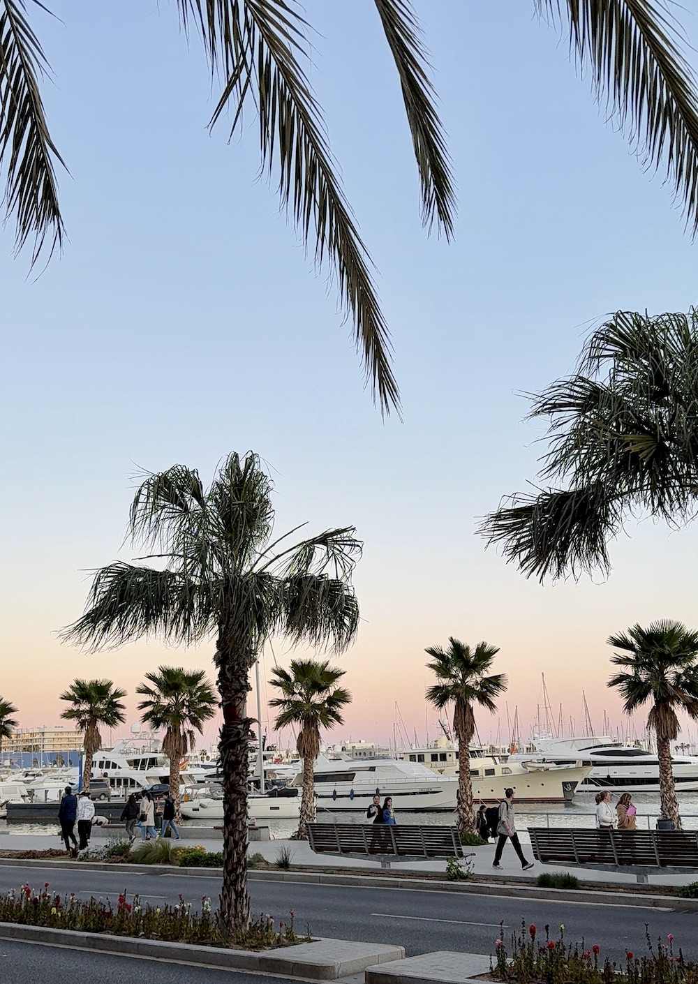 Extreme Day Trip to Alicante