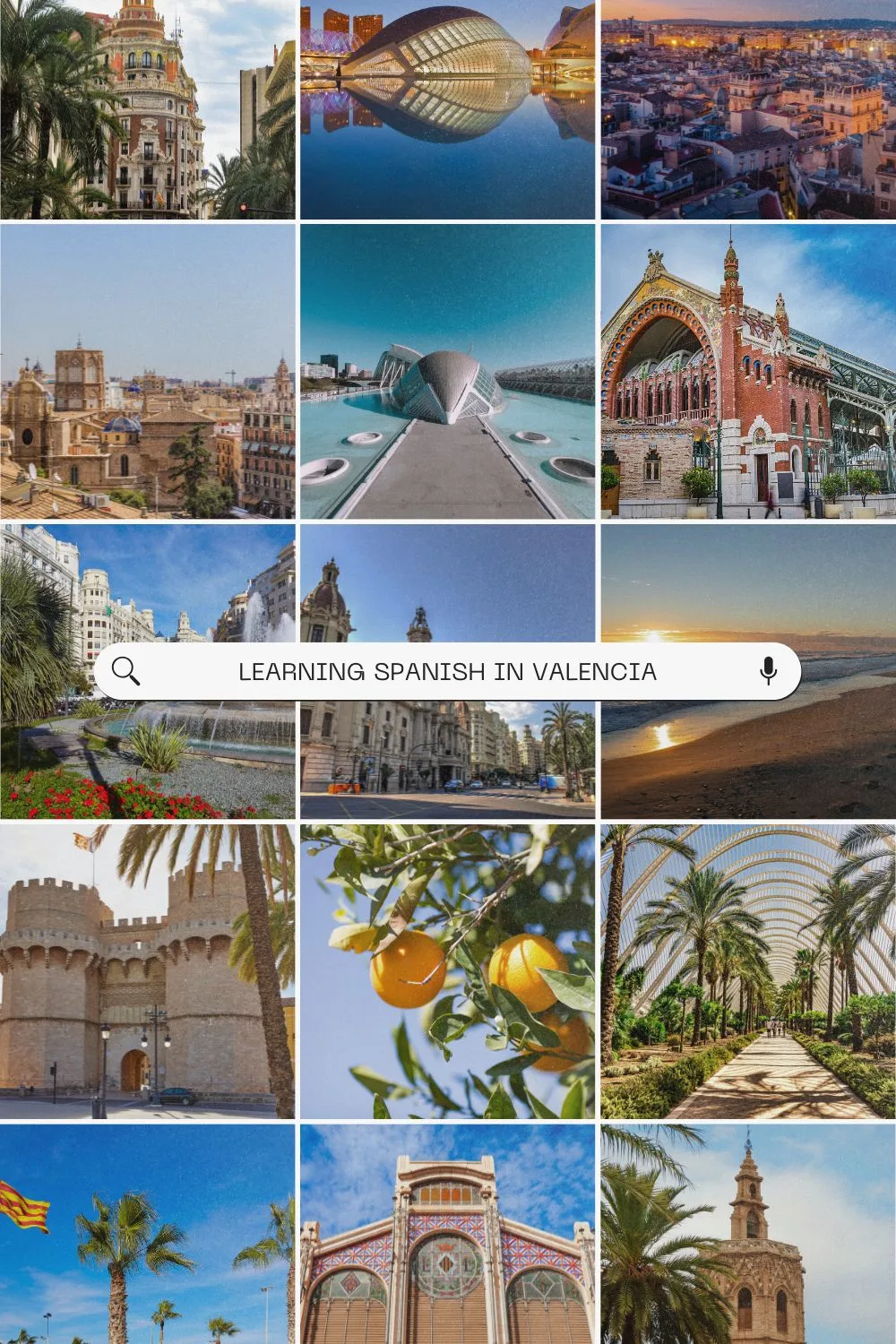 Learning Spanish in Valencia: A Cultural and Linguistic Adventure