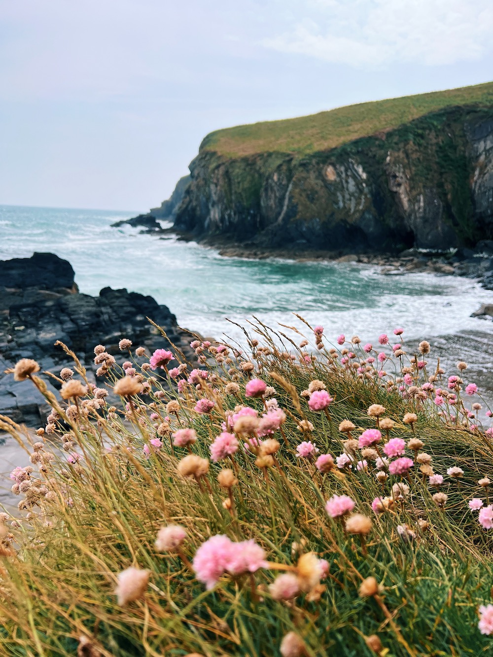 Things to do in County Cork