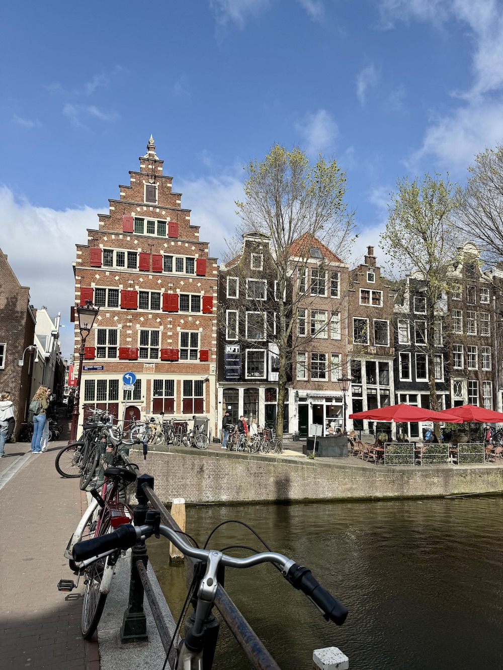 Extreme Day Trip to Amsterdam for the tulip fields