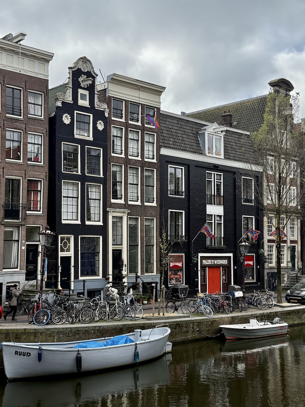 Tulip fields from Amsterdam