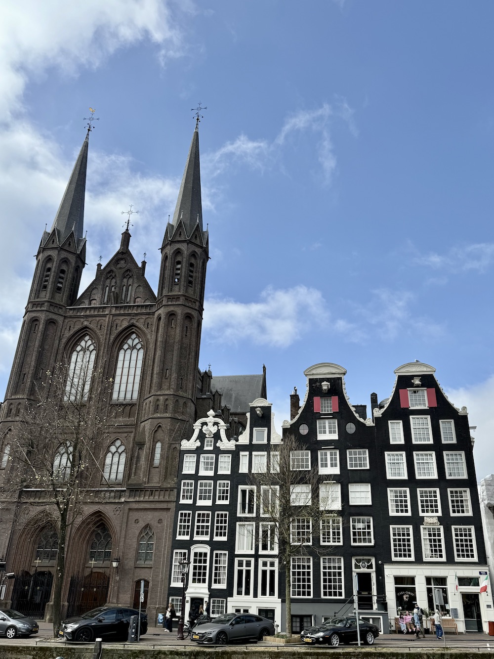 Tulip fields from Amsterdam