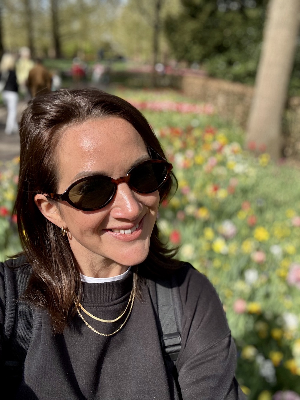 Extreme Day Trip to Amsterdam for the tulip fields