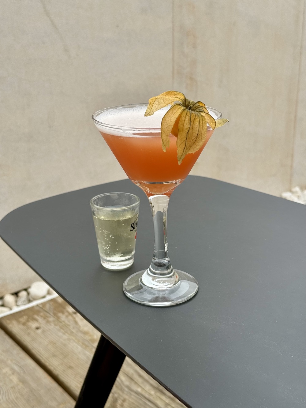 Martini at Terraza Mira Miralta