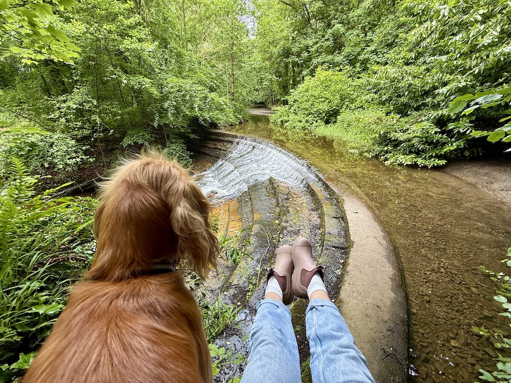 Muck Boots Rainscape Chelsea Boot review: the perfect pink welly!