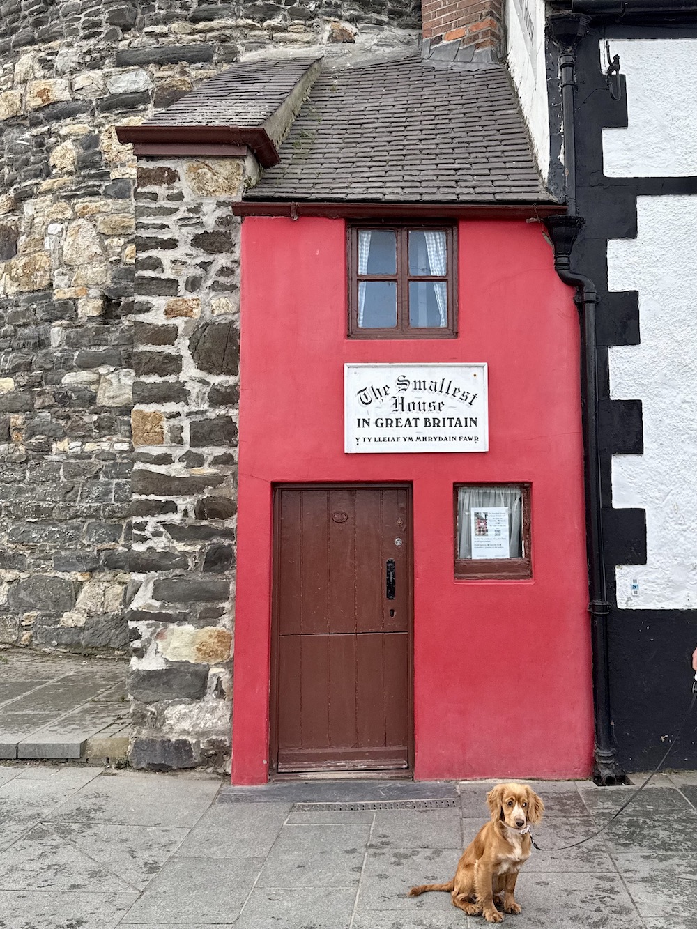 The best family walks in North Wales