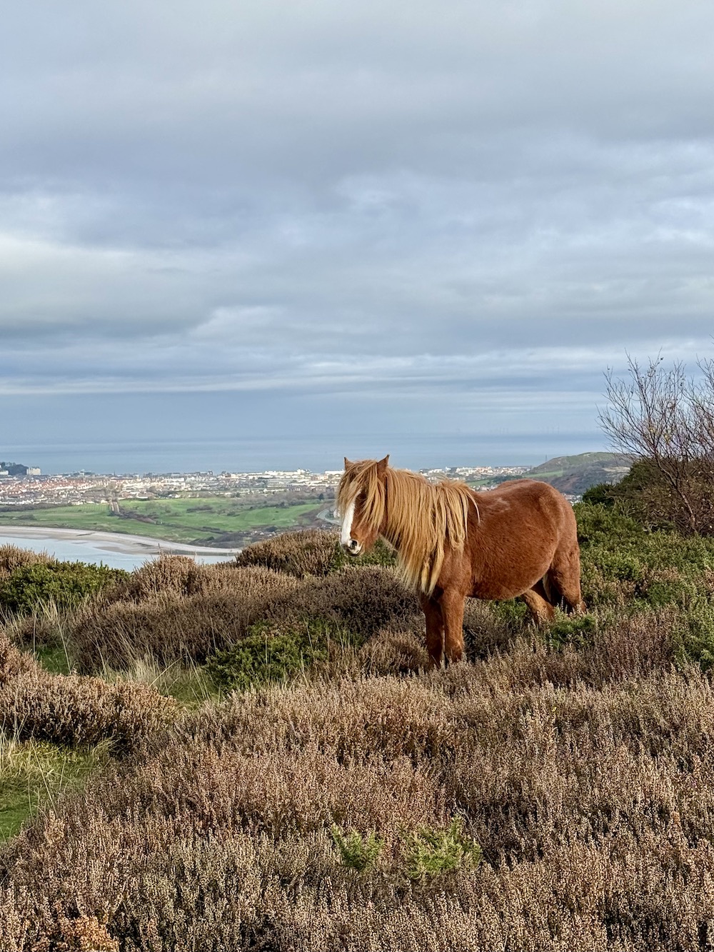 The best family walks in North Wales