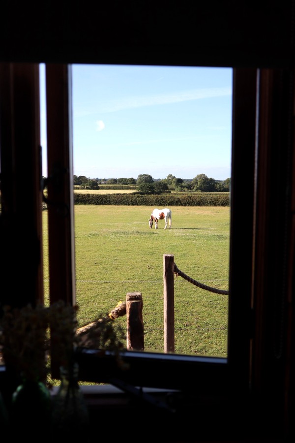 The Goose Lodge Tarporley 